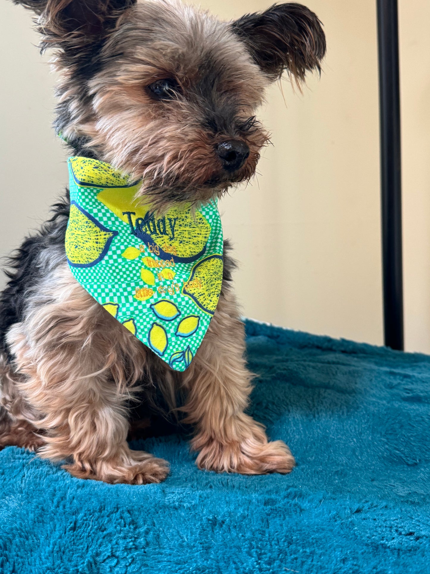 Small Dog Summer Lemon Bandana