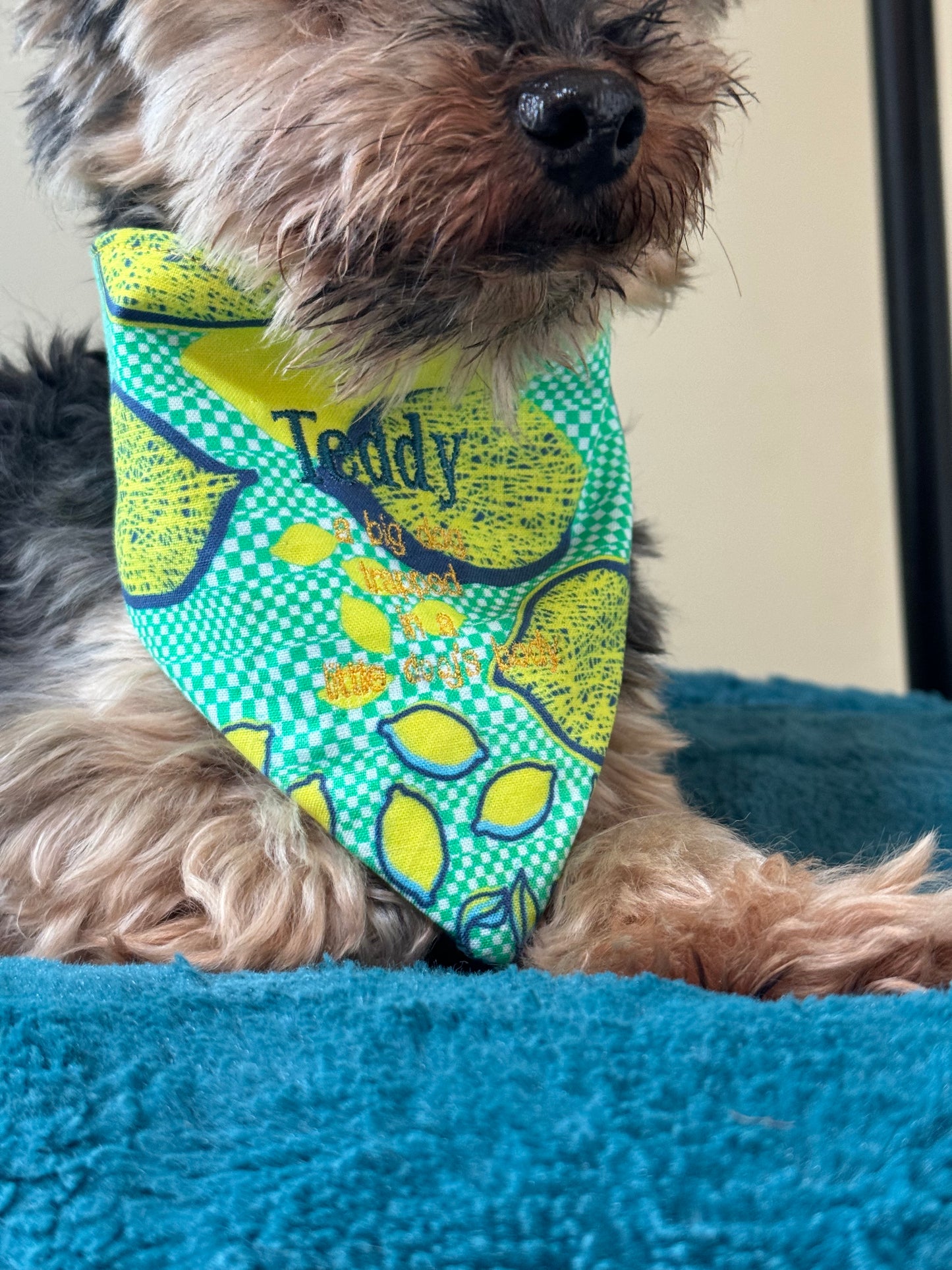 Small Dog Summer Lemon Bandana