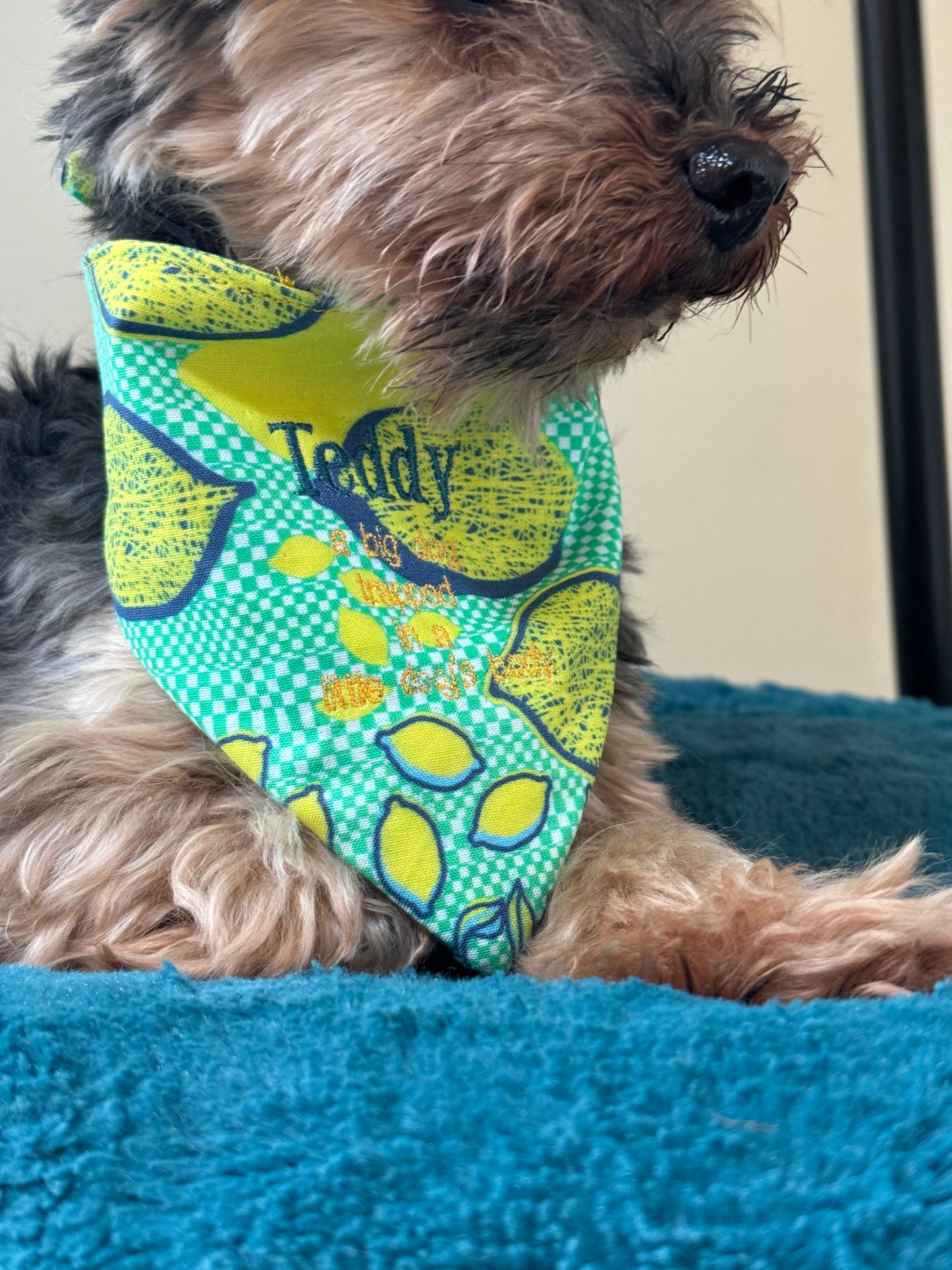 Small Dog Summer Lemon Bandana