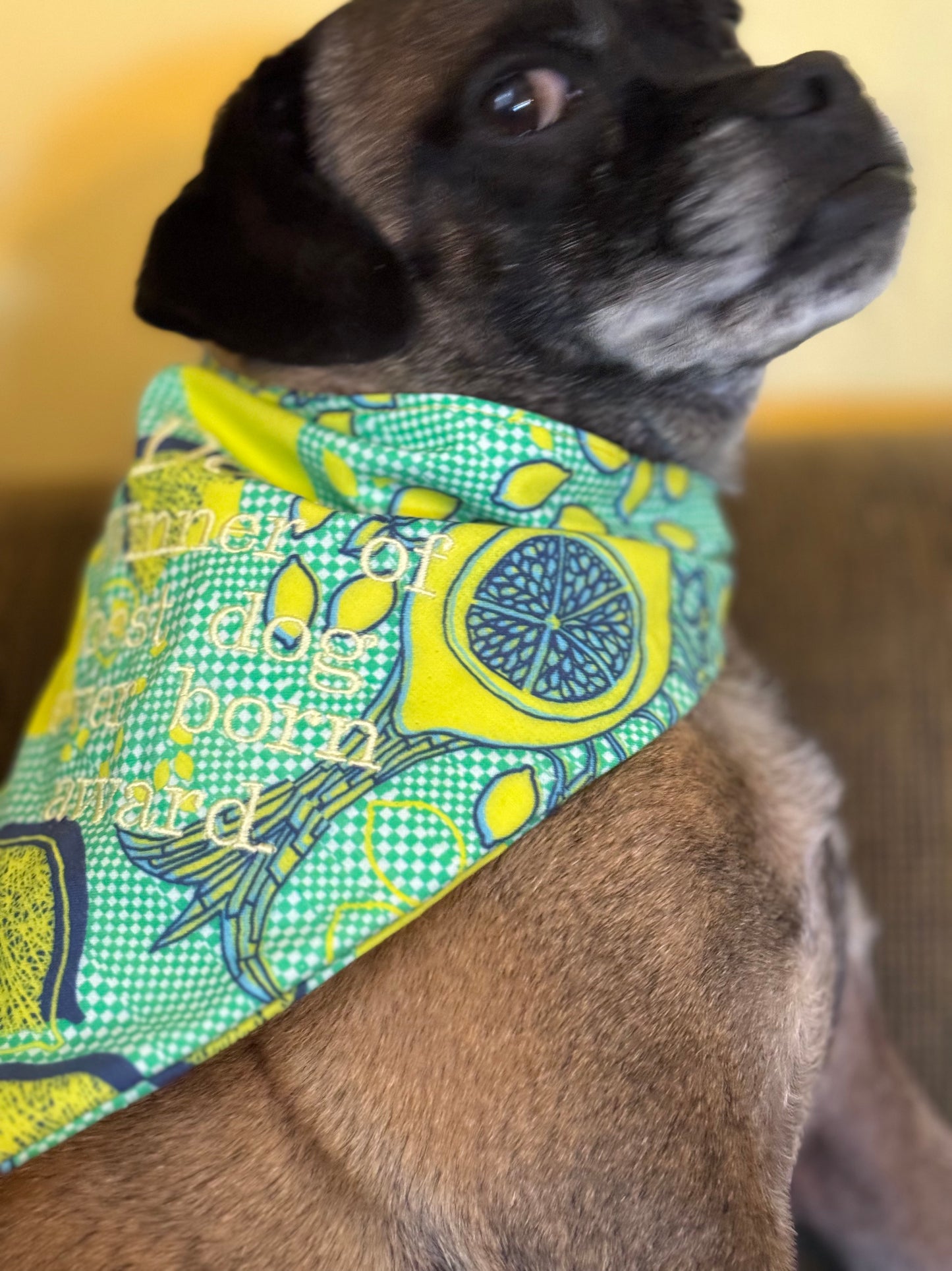 Medium Summer Dog Lemon Bandana